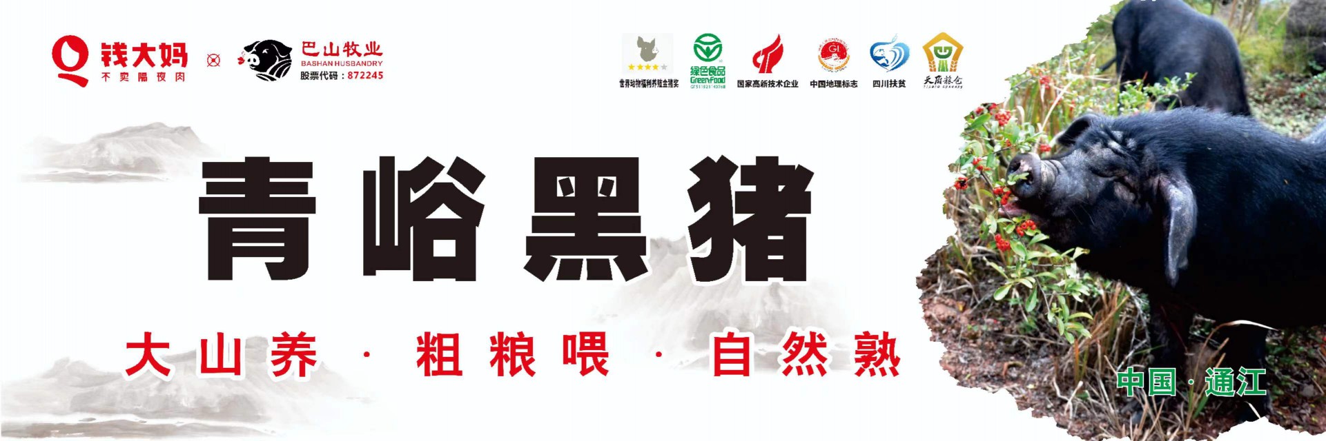 8月19日，青峪黑豬肉 正式在“錢大媽”重慶市場開賣